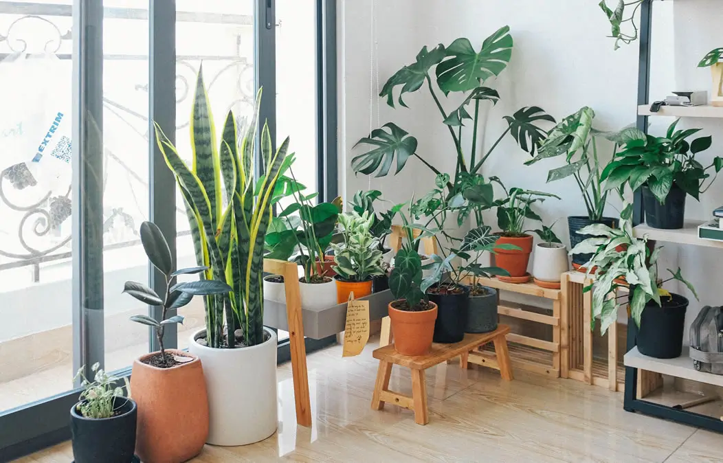 Pasando por una habitación